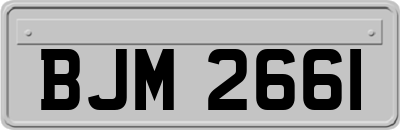 BJM2661