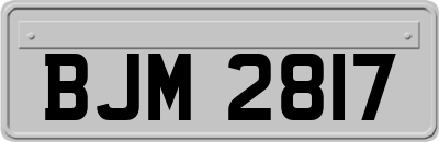 BJM2817