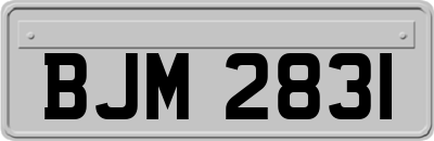 BJM2831