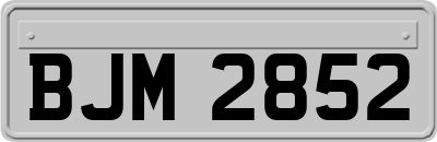 BJM2852