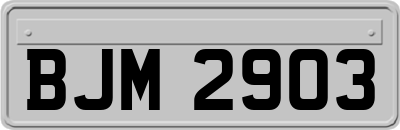 BJM2903