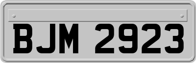 BJM2923