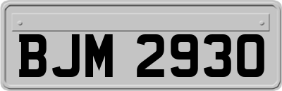 BJM2930