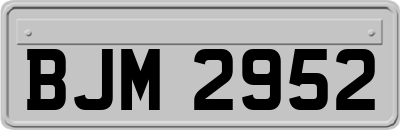 BJM2952