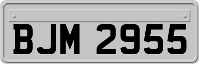 BJM2955