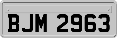 BJM2963