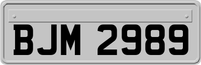 BJM2989