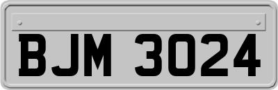 BJM3024