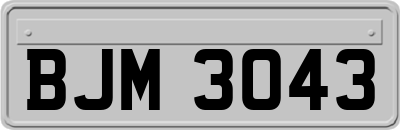 BJM3043