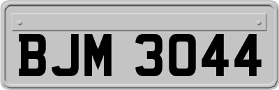 BJM3044