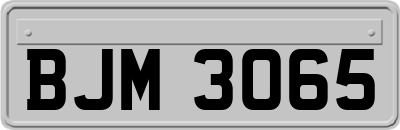 BJM3065