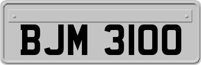 BJM3100