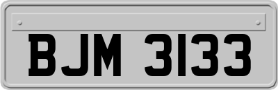 BJM3133