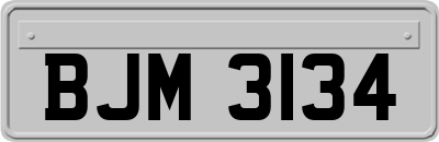 BJM3134