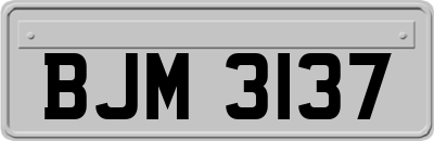 BJM3137