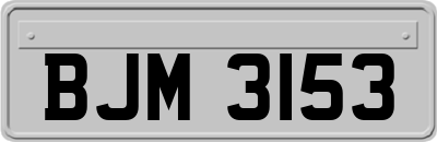 BJM3153