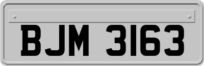 BJM3163