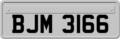 BJM3166