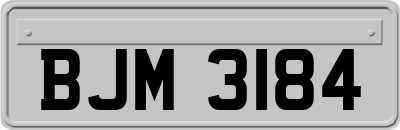 BJM3184
