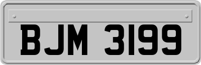 BJM3199
