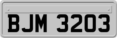 BJM3203