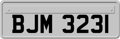 BJM3231