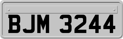 BJM3244