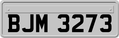 BJM3273