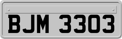 BJM3303