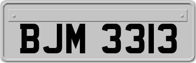 BJM3313