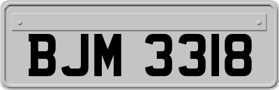 BJM3318