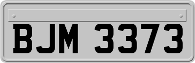 BJM3373