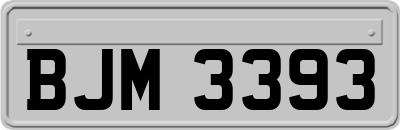 BJM3393