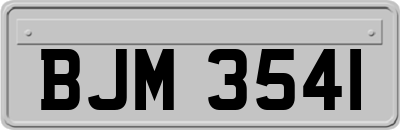 BJM3541