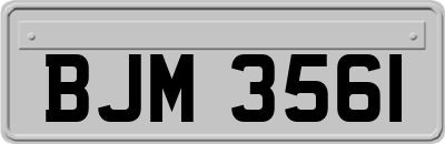 BJM3561