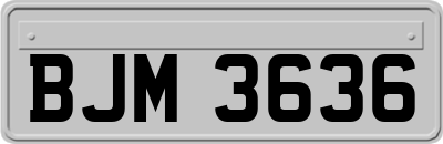 BJM3636