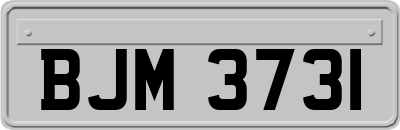 BJM3731