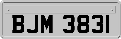 BJM3831