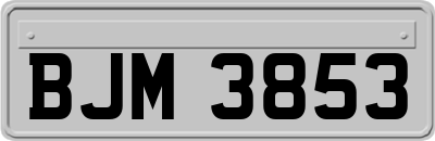 BJM3853