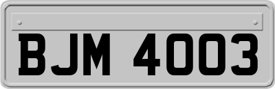BJM4003