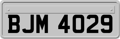 BJM4029