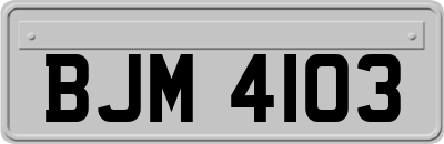 BJM4103