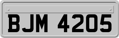 BJM4205