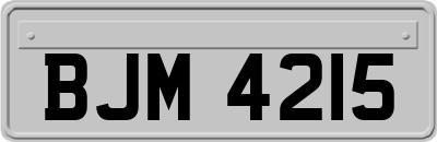 BJM4215