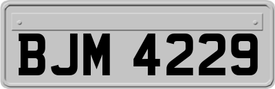 BJM4229