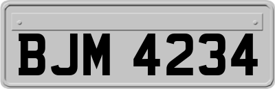 BJM4234