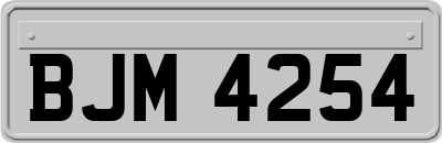 BJM4254