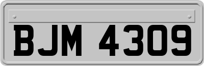 BJM4309
