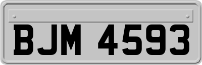 BJM4593