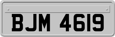BJM4619